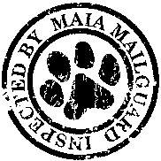 Spam detector KubGTU